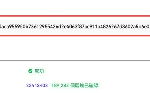 哈希值全解析：加密货币世界的数字指纹与查询指南