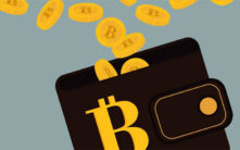 2025年加密钱包终极指南：从新手到专家的完整选择策略