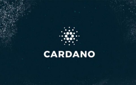 Cardano钱包全解析：热钱包与冷钱包的终极指南