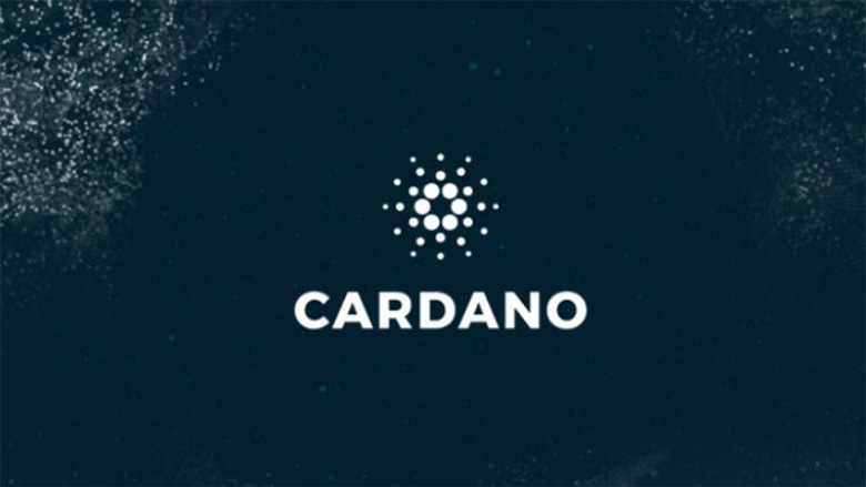 Cardano钱包全解析：热钱包与冷钱包的终极指南