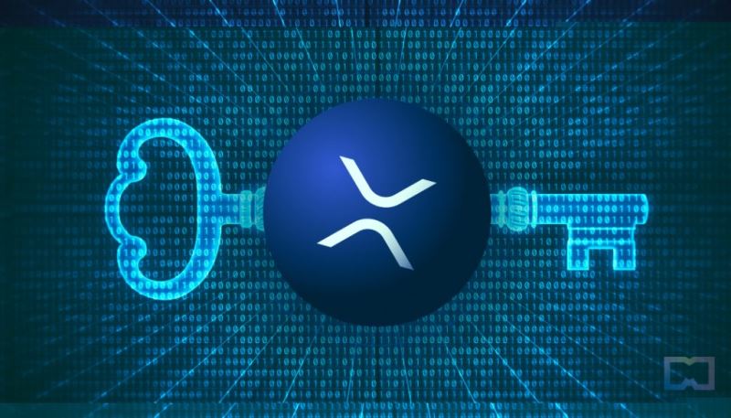 XRP冷钱包终极指南：2025年最安全的数字资产存储方案