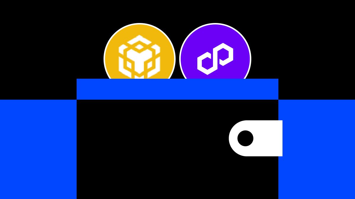 如何将 MetaMask 连接到 BNB、Polygon 和其他支持的区块链:详细指南