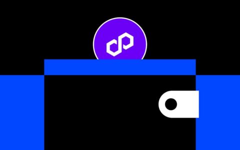 MetaMask钱包集成Polygon网络全攻略：从连接到空投机会详解