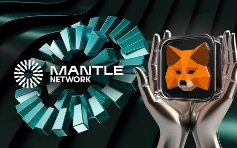 StableChain连接MetaMask全攻略：从网络配置到安全使用指南