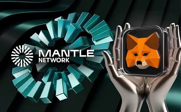 将StableChain添加至MetaMask