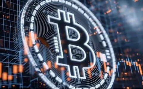 币圈新手必看：避开四大投资陷阱的完整指南