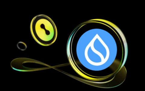 Sui区块链深度解析：面向对象架构、稳定币生态与机构采用战略