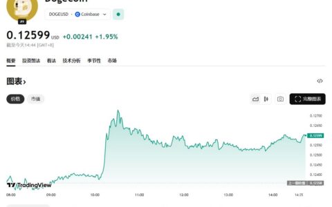 狗狗币：从玩笑到市值前十，迷因币之王的崛起之路与购买指南