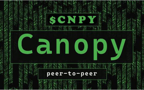 Canopy Network深度解析：下一代自主应用链平台的创新架构与代币经济