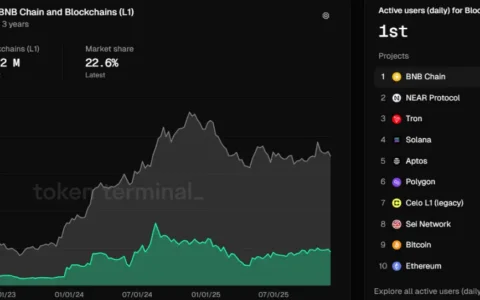 BNB Chain 2025年度报告：日活地址数登顶L1，稳定币供应量翻倍增长