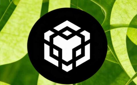 BNB强势突破900美元关口，2000美元目标能否实现？技术面与基本面深度解析