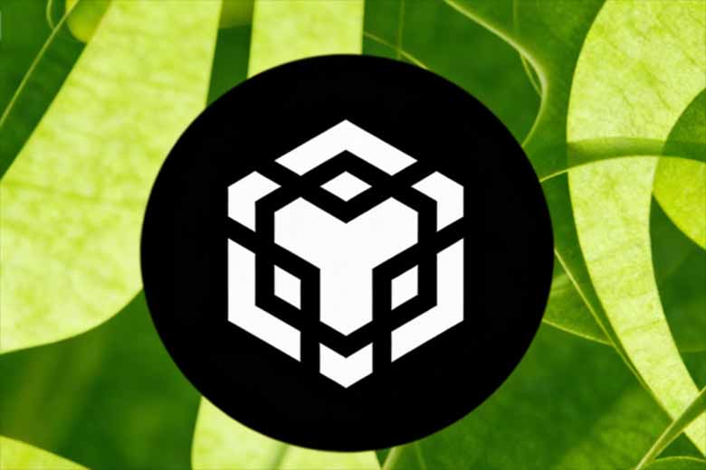 BNB价格分析:今日价格站上900美元,2000美元目标是否可期?