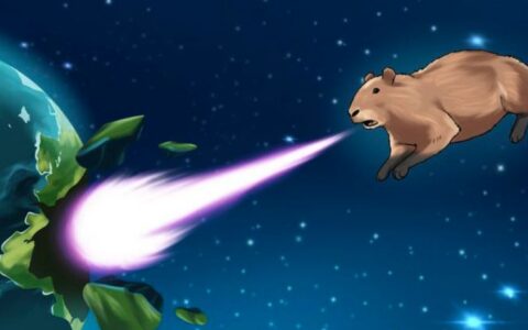 Shrimp Paste（SHRIMP）：Solana生态的水豚迷因币革命