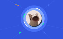 POPCAT币深度解析：从病毒迷因到加密新宠，投资潜力与风险全知道