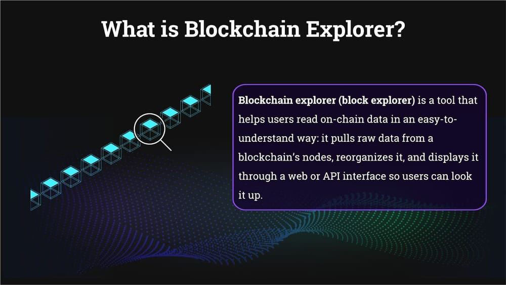 区块链浏览器完全指南：从入门到精通，掌握链上数据查询核心技能