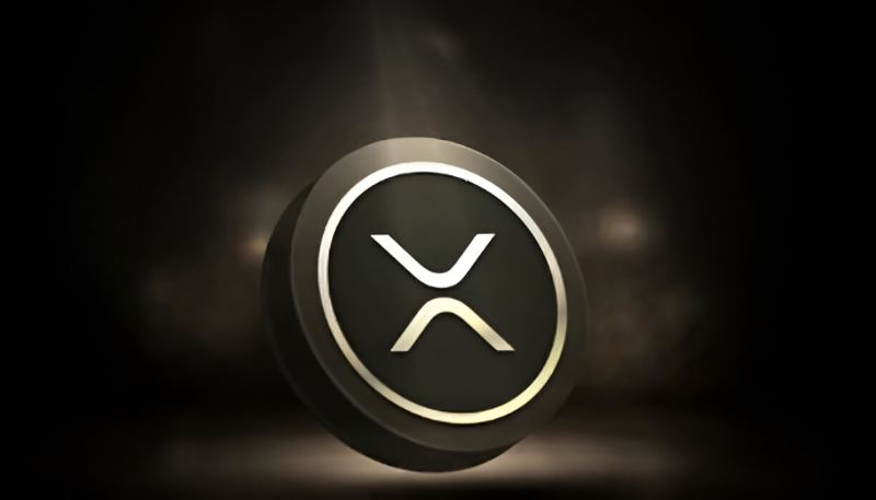 Ripple富豪榜更新