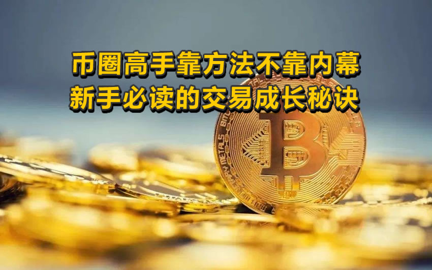 币圈高手靠方法不靠内幕,新手必读的交易成长秘诀