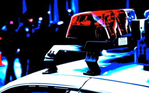 澳大利亚警方指控男子涉嫌350万美元加密货币投资诈骗，主要针对老年受害者