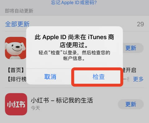 App Store登录界面