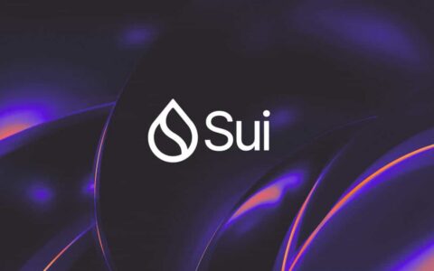 首批现货SUI ETF上市：Canary Capital和Grayscale推出带质押功能的基金