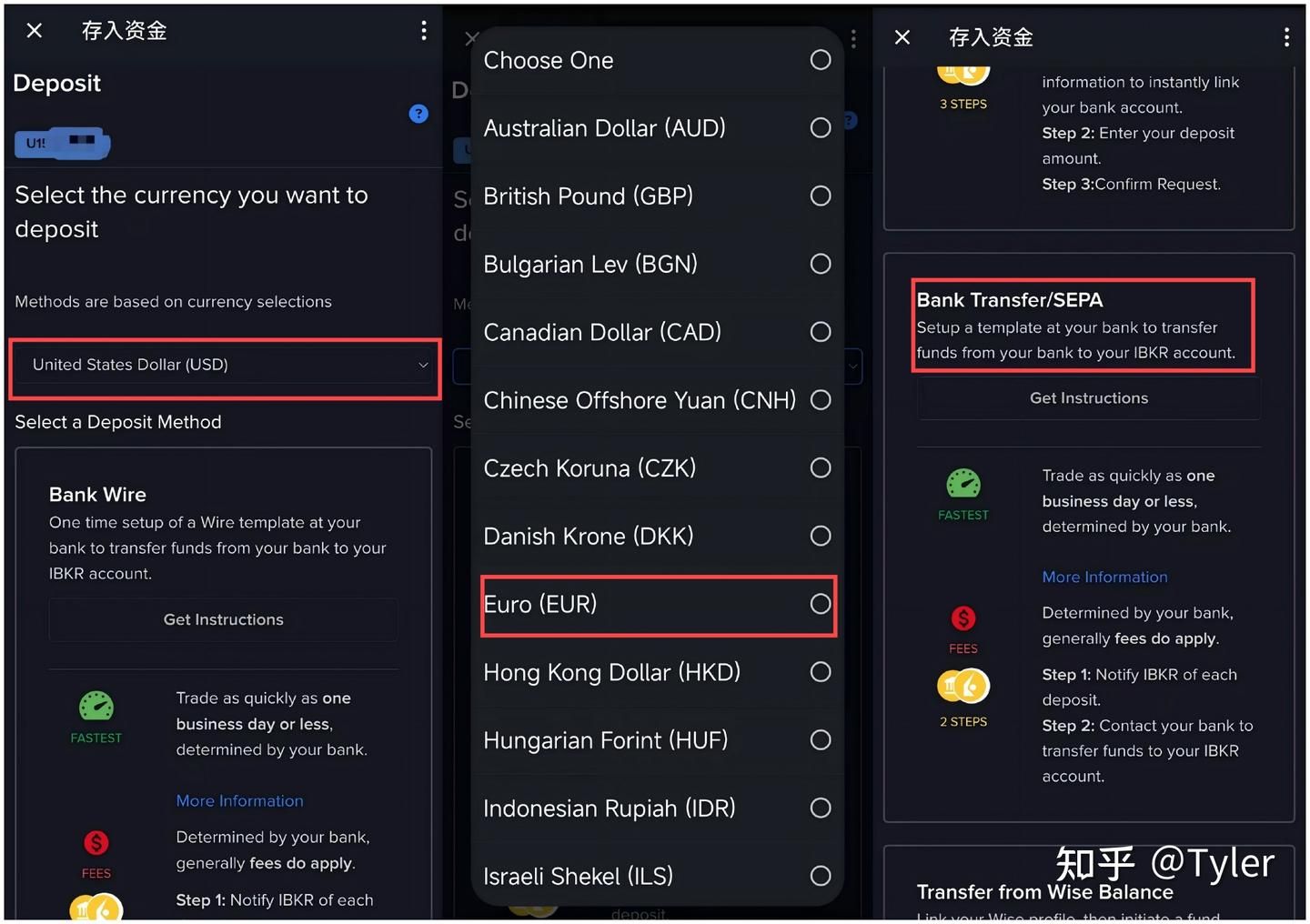 选择SEPA转账方式