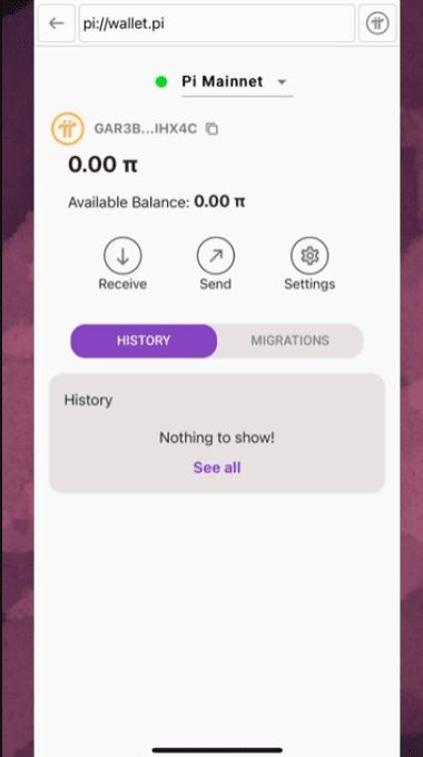 如何设置 Pi 钱包:逐步指南_图8