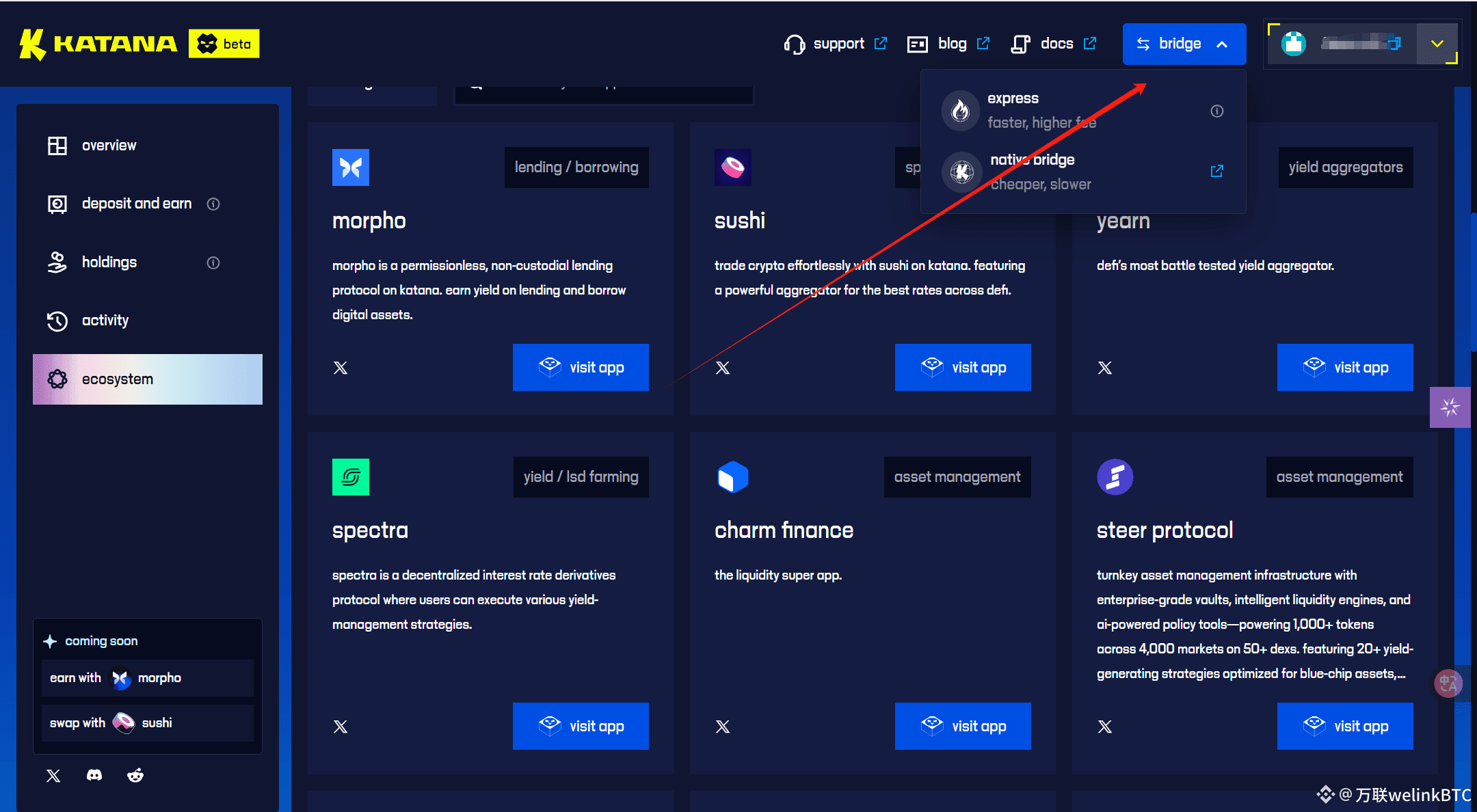 VaultBridge桥接界面展示