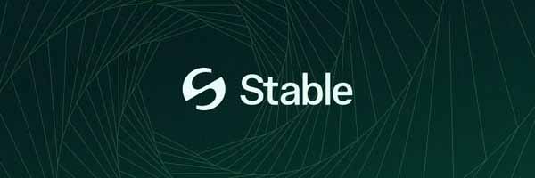 由 USDT 驱动的 StableChain,图片来源:@stable on X