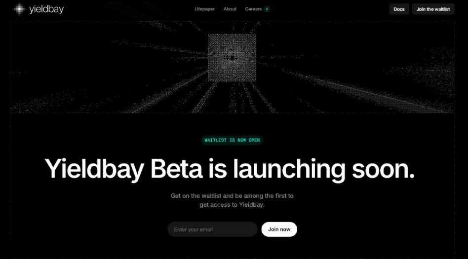 2025年底进入候补名单的空投项目