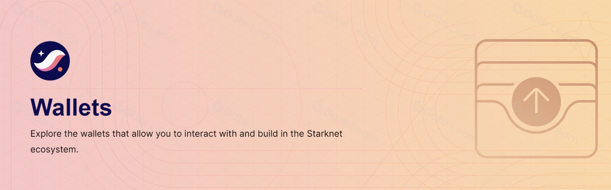 Starknet钱包解决方案