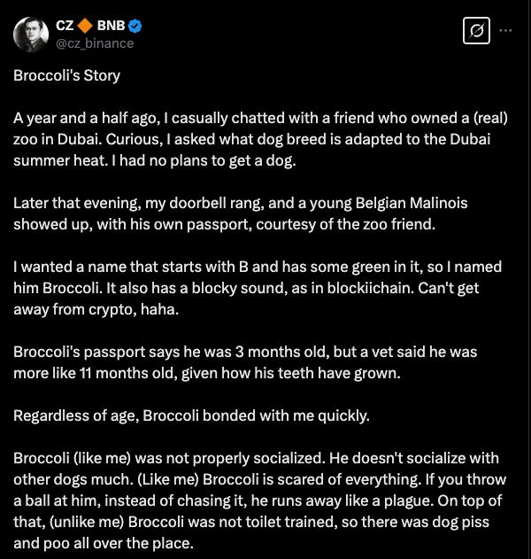 CZ 讲述 Broccoli 故事的推文