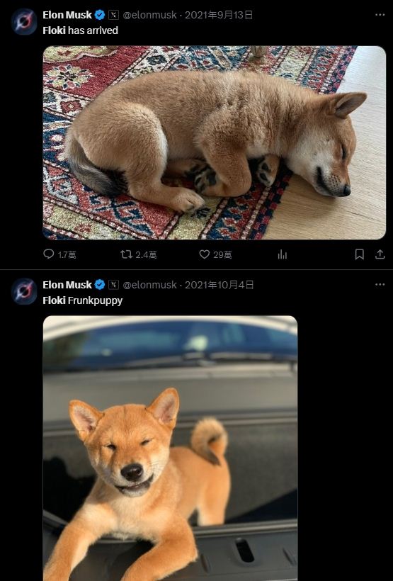 FLOKI币生态系统