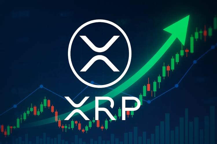 XRP币价格预测图表