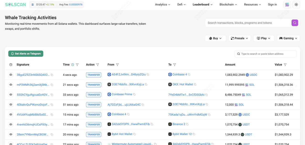Solscan完全指南:掌握Solana区块链浏览器的核心功能与实战应用