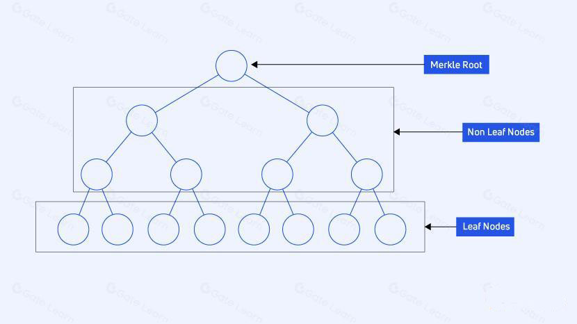 默克尔树节点结构图