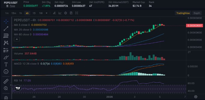 Pepe (PEPE)分析