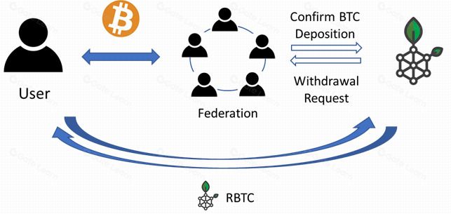 代币化比特币:跨链金融新纪元的核心桥梁
