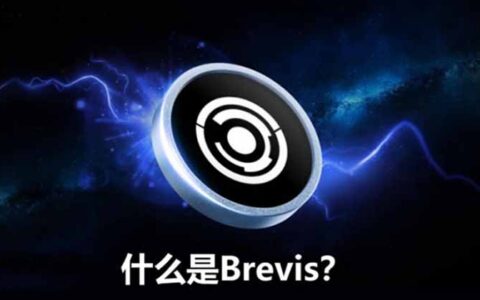 Brevis Network深度解析：ZK协处理器如何重塑数据驱动型区块链应用