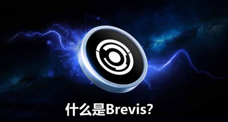 Brevis Network技术架构图解