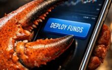 无需人类干预！Openclaw AI自主创建子代理，并用比特币闪电网络完成支付