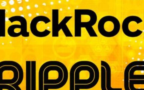 重磅！Ripple总监证实：万事达、贝莱德等金融巨头正积极探索XRP Ledger
