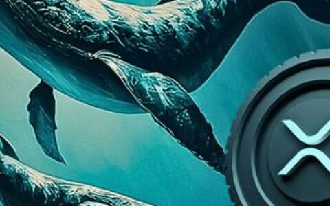 XRP价格自2025年第四季度以来已腰斩，但巨鲸在此期间逆势吸筹30亿枚