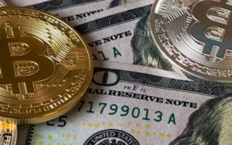 通胀降温动摇持币逻辑，比特币的“避险”光环失色了吗？