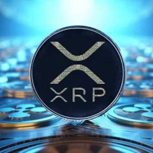 Binance XRP Reserves