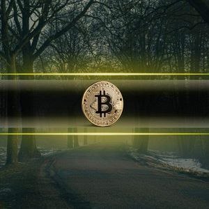 Bitcoin Market Analysis