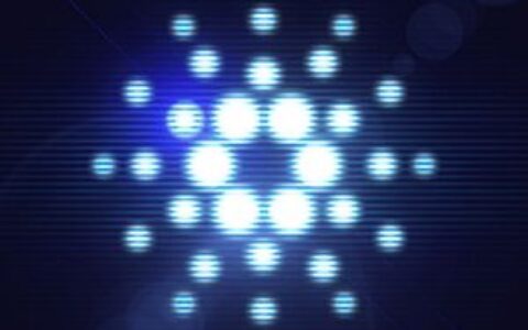 Weiss Ratings高度赞扬Cardano团队，看好Midnight长期潜力