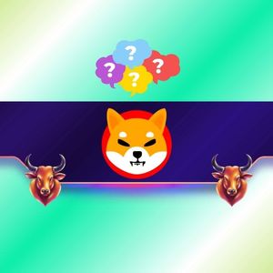 SHIB Burn Rate, Source: shibburn.com