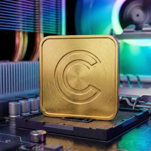 币安资金流向分析