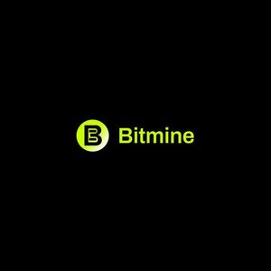 Bitmine ETH Holdings