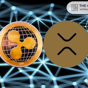 Bitcoin Maxi Simon Dixon Says XRP and Ripple Are a Psyop